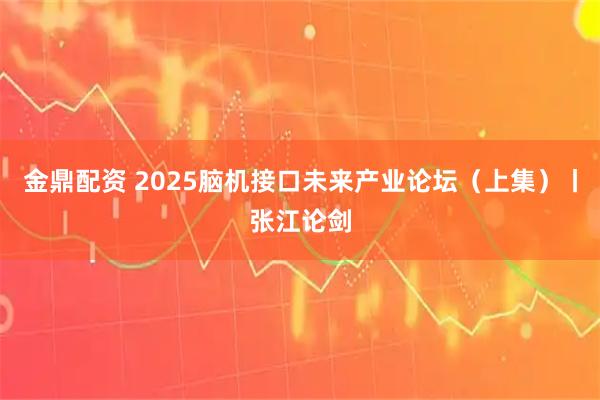 金鼎配资 2025脑机接口未来产业论坛（上集）丨张江论剑